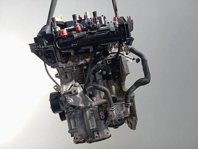 Двигатель в сборе Renault (RVI) H4DF480