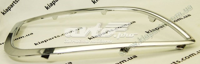 Ободок/окантовка фары противотуманной, левый Hyundai/Kia 865812S300 цена, от 156.83 USD