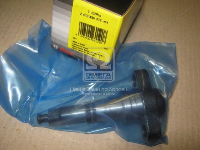 Плунжерная пара ТНВД Bosch 2418455318 цена, от 77.73 USD