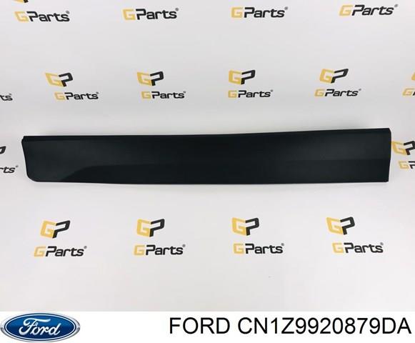  Ford CN1Z9920879DA