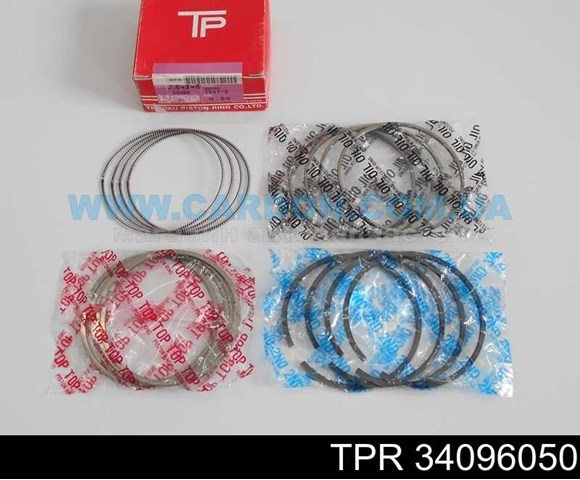 34096050 TPR 