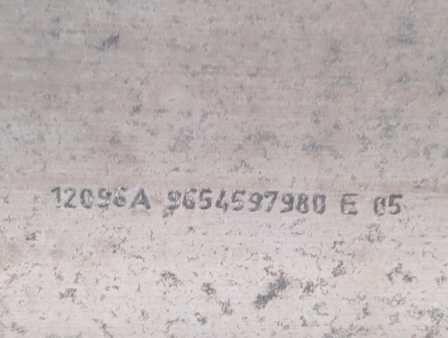  Peugeot/Citroen 9654597980