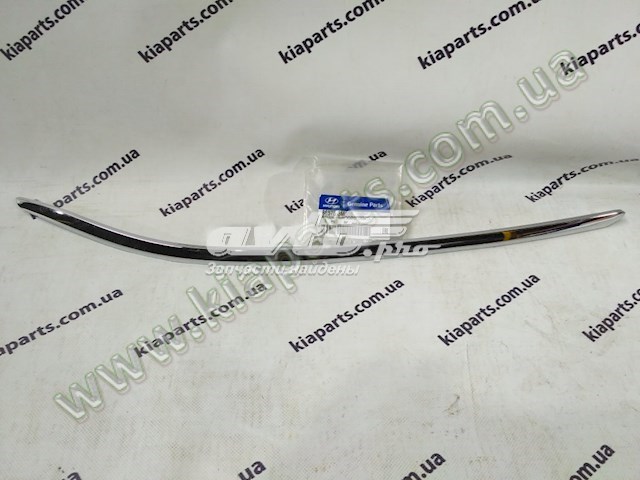  Hyundai/Kia 8657559000