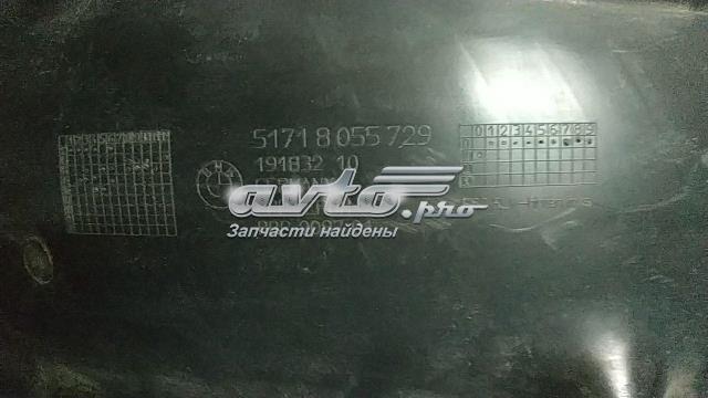 51718055729 BMW 