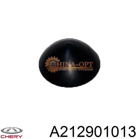  A212901013 Chery