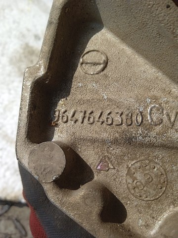 9647646380 Peugeot/Citroen 