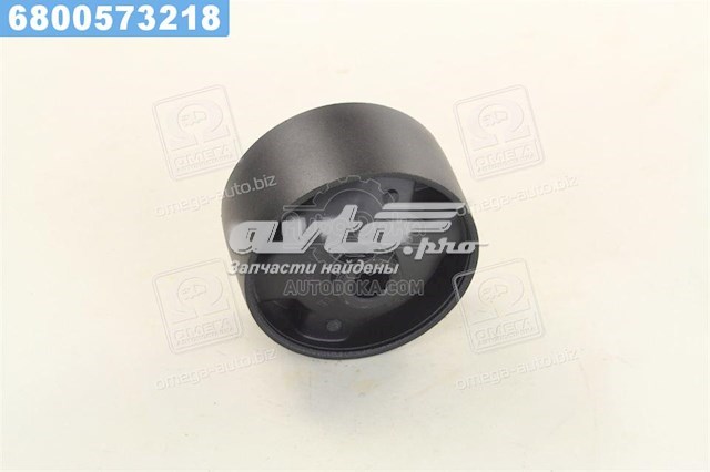 T0910F RBI Подушка (опора) двигателя левая передняя
