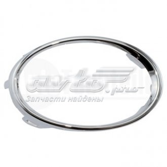 Embellecedor, faro antiniebla derecho 3853017 AUTOTECHTEILE