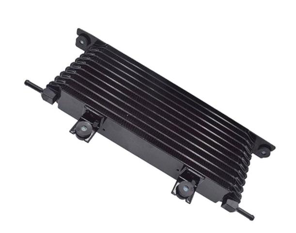 216069733R Renault (RVI) Радиатор охлаждения, АКПП