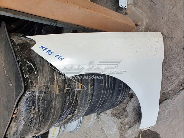 Pára-lama dianteiro esquerdo Mercedes A1668800400