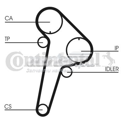 CT891K1 Continental/Siemens correia do mecanismo de distribuição de gás, kit