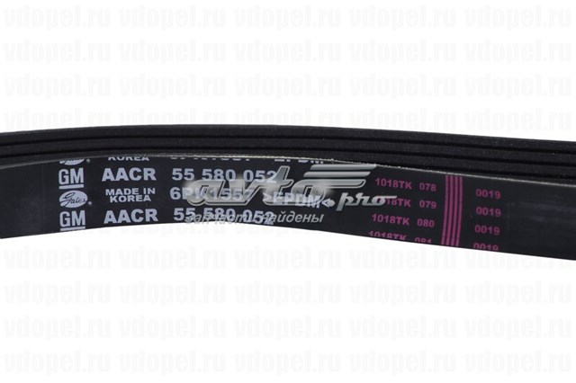 Ремень кондиционера General Motors 55580052