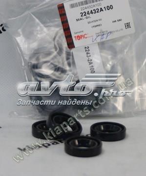 224432A100 KAP кольцо уплотнительное свечного колодца