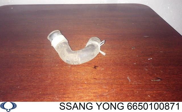  6650100871 Ssang Yong