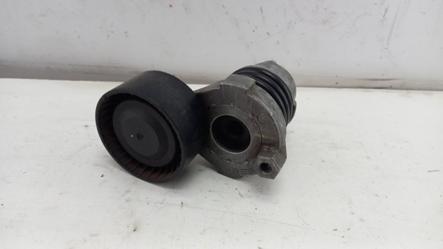 117506193R Renault (RVI) Натяжитель клинового ремня