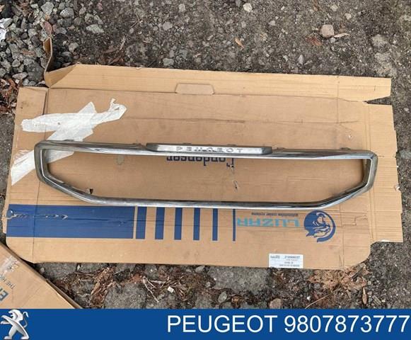  Peugeot/Citroen 9807873777 цена, от 197.59 USD