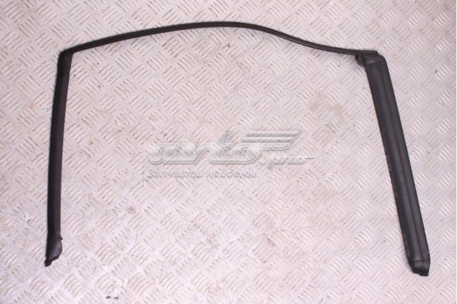 T4A1248 Jaguar 