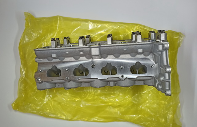 55573010 General Motors Головка блока цилиндров