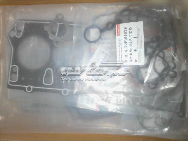  10049940 MG