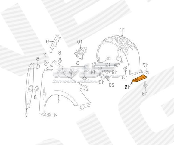  PCV11158AR Signeda