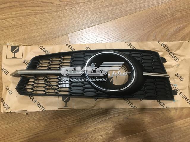  VAG 4G0807681AG
