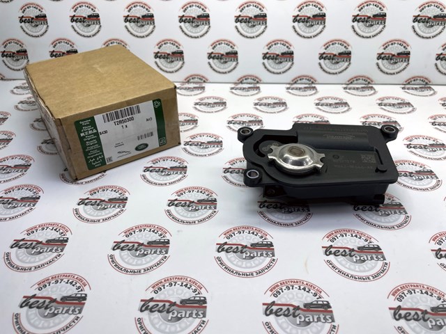  T2R50300 Jaguar