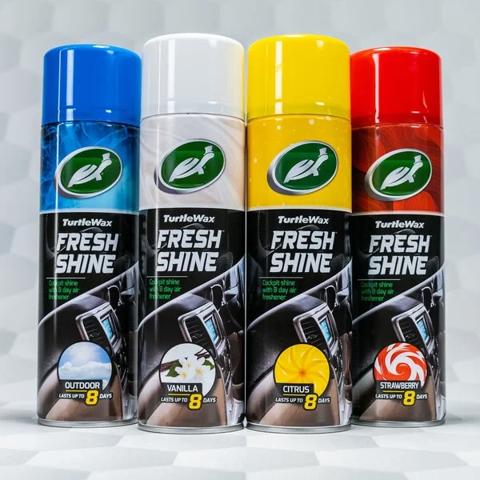 54031 Turtle WAX 