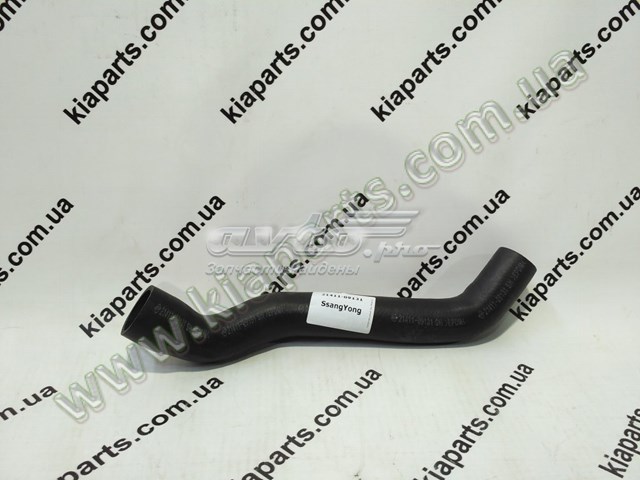 2141109131 Ssang Yong 
