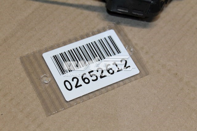 Fecho da porta dianteira esquerda Suzuki Grand Vitara  JB