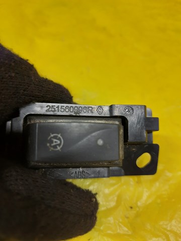  251560996R Renault (RVI)