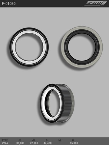  F01050 Emmetec