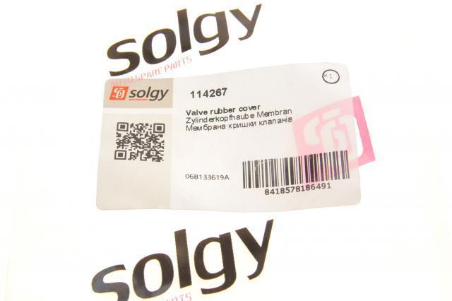 Купить 114267 Solgy Регулятор изменения длины впускного коллектора