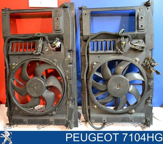  9682720480 Peugeot/Citroen