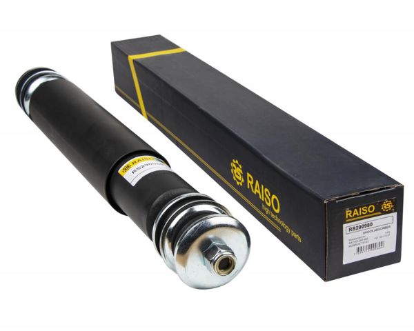 RS290980 Raiso Стойка передняя