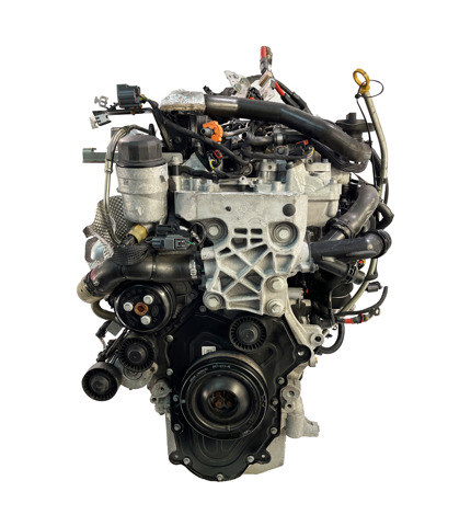 Купить JDE40069 Jaguar Двигатель голый