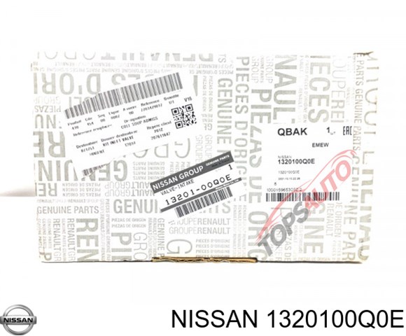 1320100Q0E Nissan 