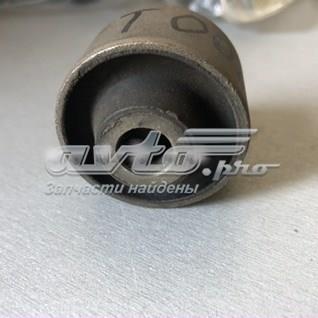 TT0025 Akkussan 