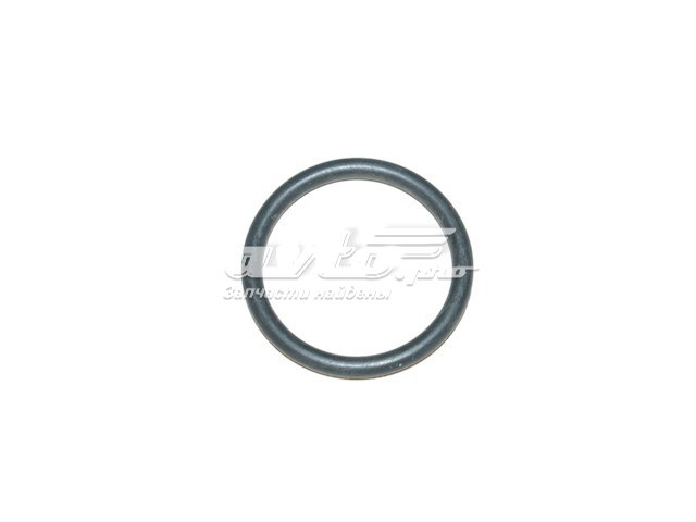 Anel de vedação de cano derivado do radiador para Peugeot Expert (222)