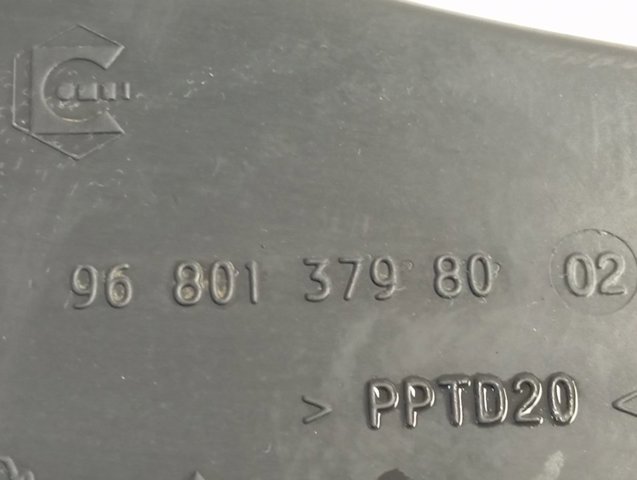  9680137980 Peugeot/Citroen