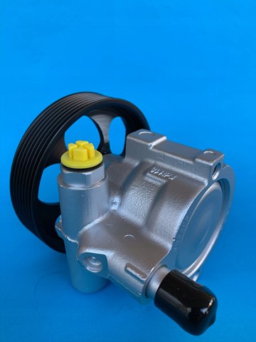 Насос ГУР 26081479RS Renault (RVI)