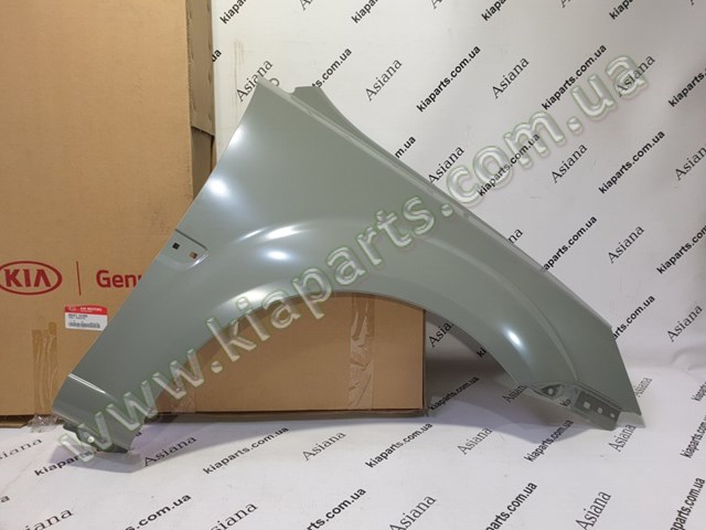 Боковая часть передняя правая Hyundai/Kia 663211G300 цена, от 42.37 USD