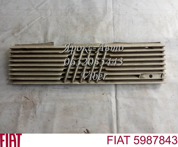 Решетка радиатора на Fiat Regata 138 (Фиат Регата)