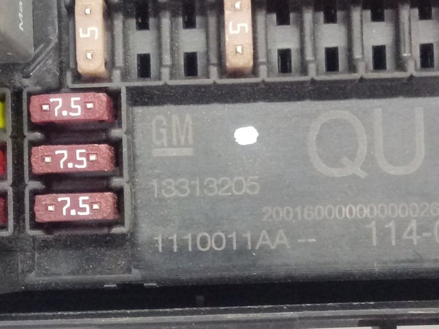  13313205 Opel