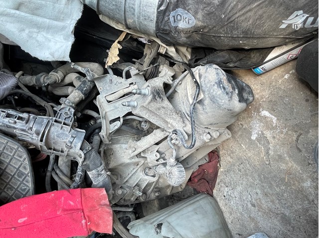  304010877R Renault (RVI)