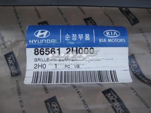 Купить 865612H000 Hyundai/Kia Решетка бампера переднего