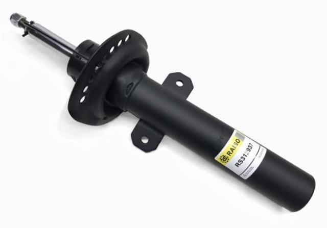 RS312937 Raiso Стойка передняя