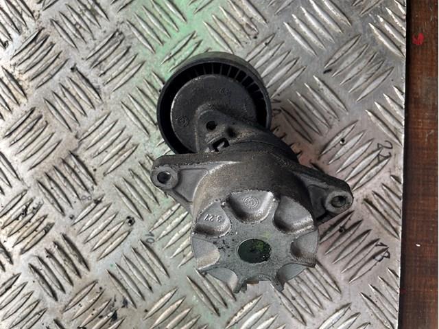 Reguladora de tensão da correia de transmissão A6462000570 Mercedes