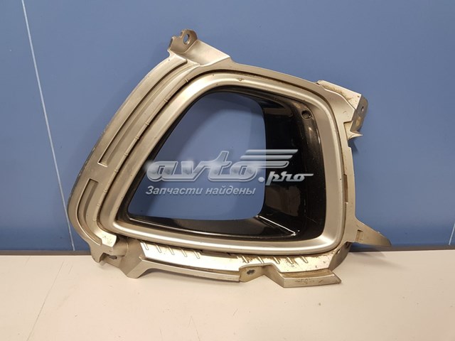 Купить 86525C5040 Hyundai/Kia Окантовка противотуманки