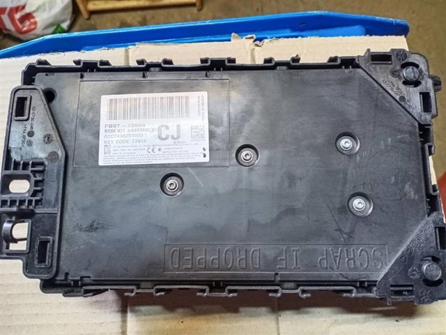 FG9T15604 Ford 