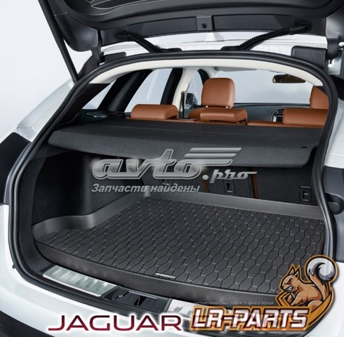 T4A5569 Jaguar 